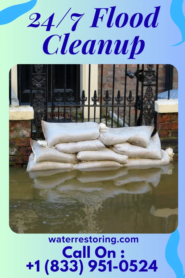 24/7 Flood Cleanup in Pittsboro, MS