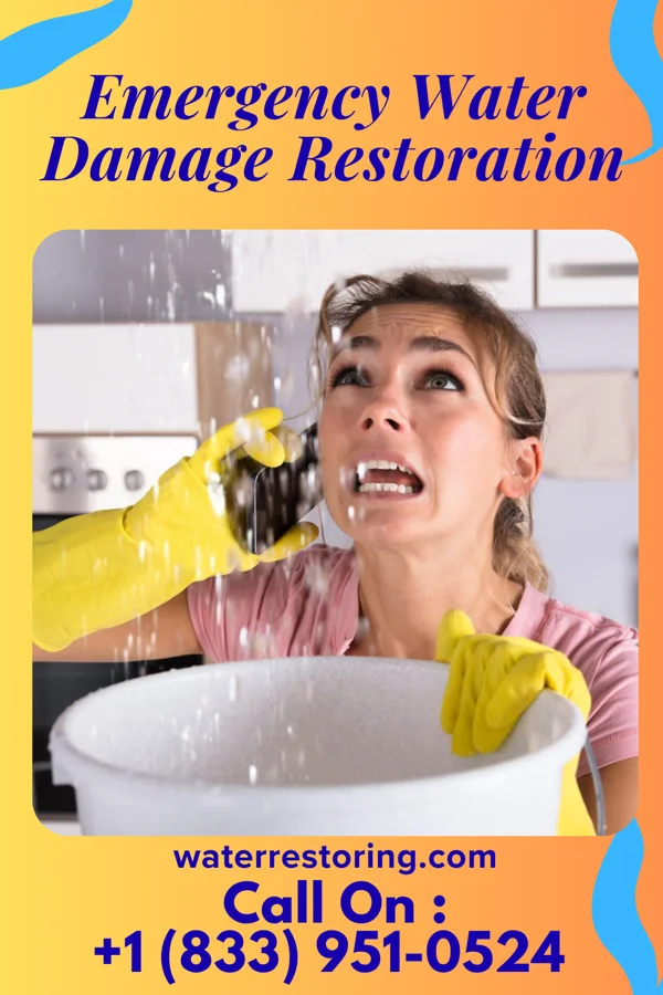 Emergency Water Damage Restoration in Pittsboro, MS